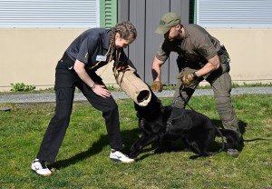 Une &eacute;l&egrave;ve de l&rsquo;&Eacute;cole de gendarmerie pour la jeunesse portant une manchette de dressage se trouve &agrave; c&ocirc;t&eacute; d&rsquo;un chien de police et d&rsquo;un policier en uniforme vert.