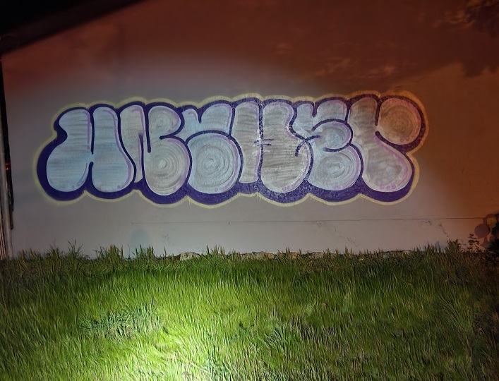 Dunford Ave Graffiti