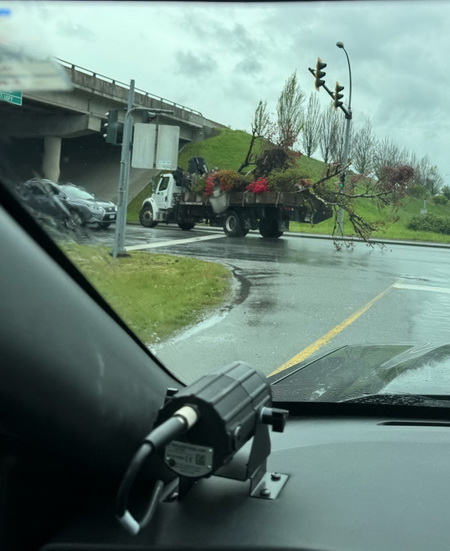 Picture taken from inside police vehicle showing commercial vehicle driving with large trees sticking out