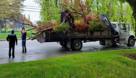 Picture of police officer in uniform watching a man cut the tree branches that are sticking out of the commercial vehicle with a chainsaw