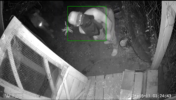 CCTV screen shot of two suspects entering a coop and stealing a chicken