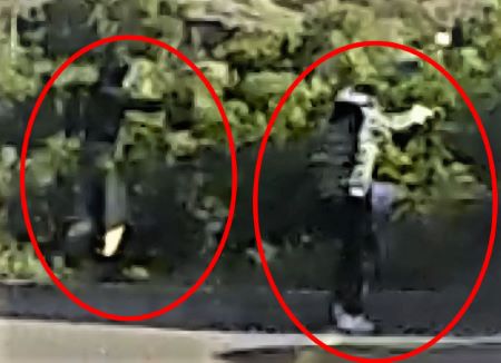 Image lat&eacute;rale de deux personnes devant de la verdure.   