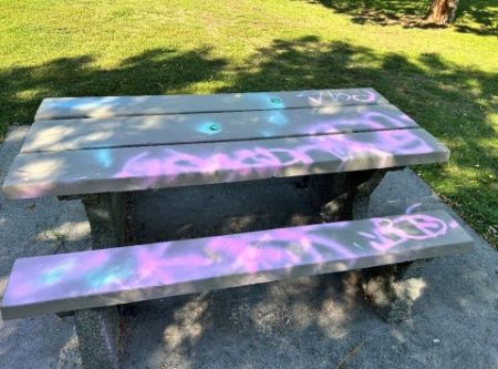 Table de pique-nique dans le parc Rainbow vandalis&eacute;e par des graffitis roses et bleus.