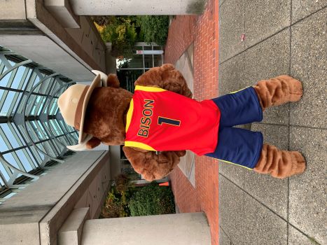 Une mascotte de bison en uniforme de basketball, ayant le dos tourn&eacute; et portant un maillot de basketball rouge de la GRC, des shorts de basketball bleus et un chapeau Stetson brun.