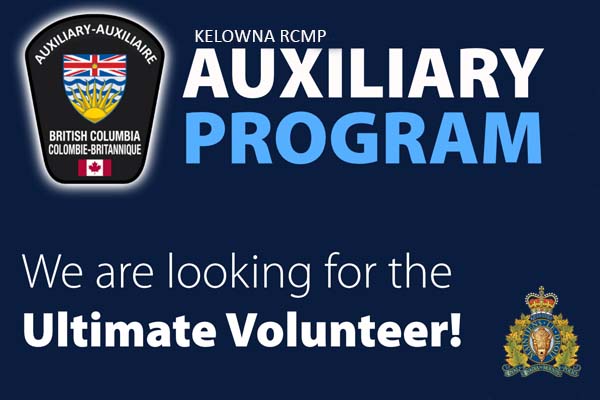 Auxiliary program advertisement 