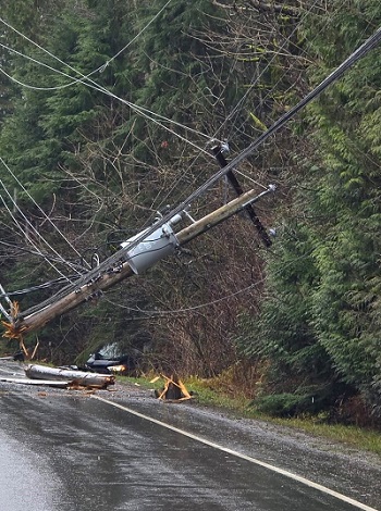 Photo of crashed vehicle and downed utility wires