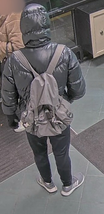 man wearing a backpack