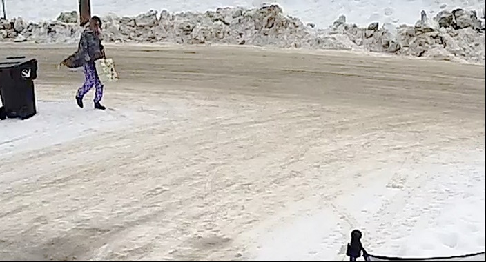 person carrying a bag