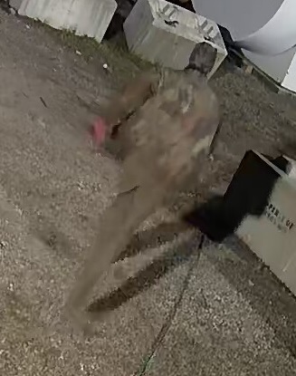 Man suspect wearing camo gear associated to Gas stolen from commercial gas tank near Fruitvale