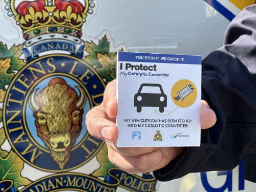 program decal in front of police car