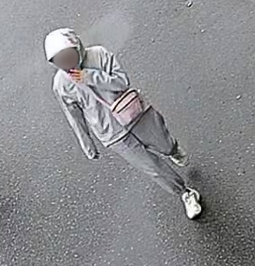 Photo of second witness wearing a grey jacket, grey pants, white running shoes, black glasses and carrying a pink purse