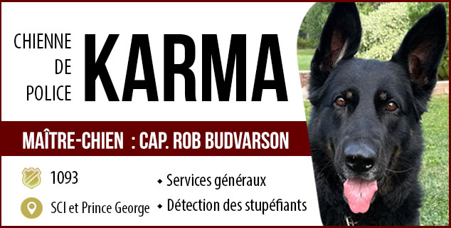 Chien de police - Karma