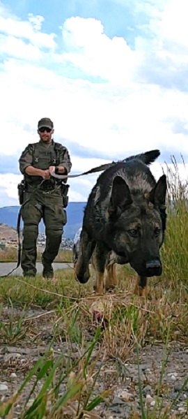 photo of rcmp police dog handler and dog in grassy area