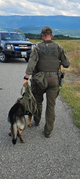 photo of rcmp police dog handler and dog walking on road