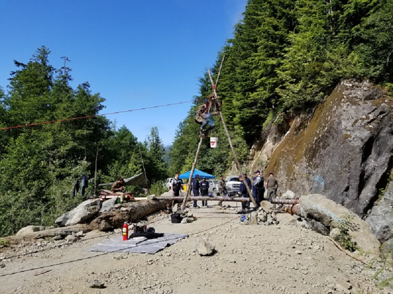 Une personne dans une structure dans les arbres