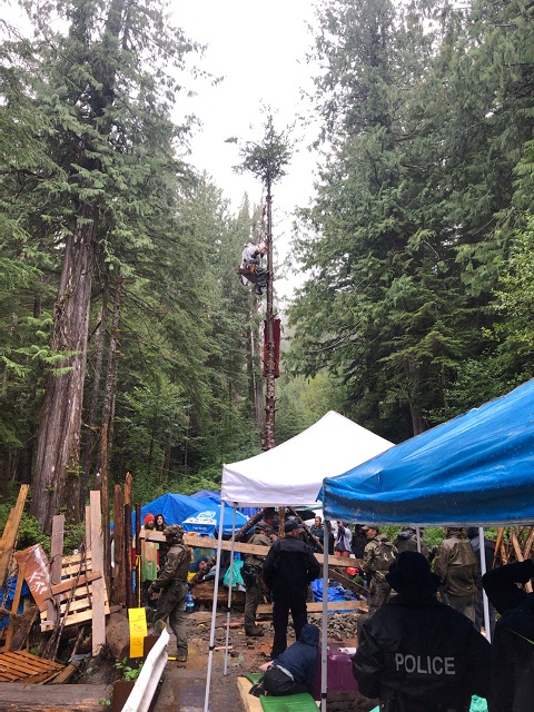 Photo of protestors across bridge with a protestor in a tripod