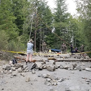 protester in tree with rcmp members below