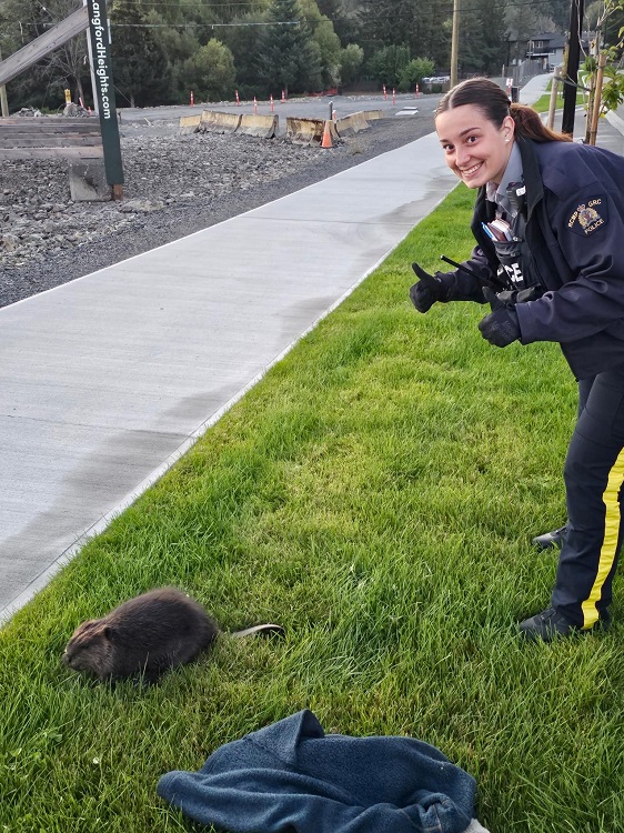 A female RCMP officer giving the thumbs up while standing next to a beaver on the side of the road