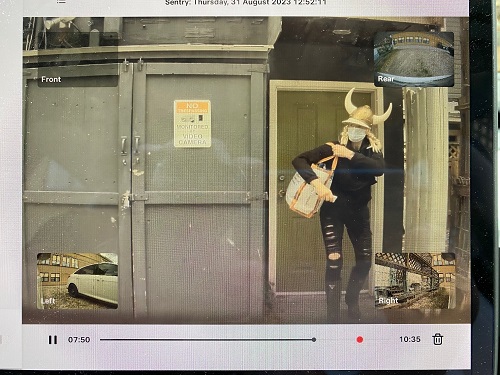 Trail and Greater District RCMP received a report of a Viking woman trespassing on a property