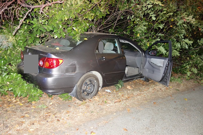 Vehicle crashes into tree line