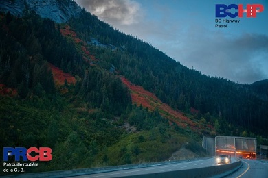 Photo of fall foliage