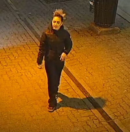 Dans cette image, la femme a attach&eacute; ses cheveux dans un chignon.